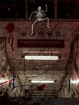 女主发疯小说