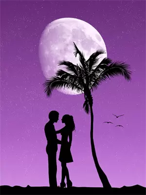 离婚后大佬她美又飒剧照海报