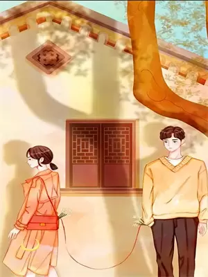 无忧渡，续缘篇宣夜迟雪完整版小说_小说完结推荐无忧渡，续缘篇(宣夜迟雪)