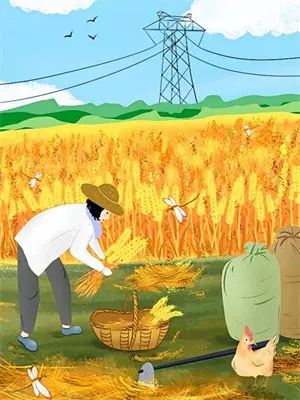 想修风水大墓？先跪碎村头石板路
