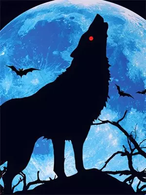 他拿假证哄绿茶，我拿真证嫁豪门