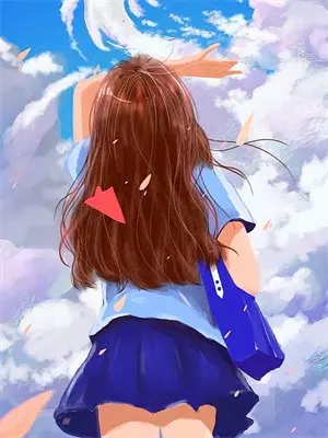 晚风轻入怀